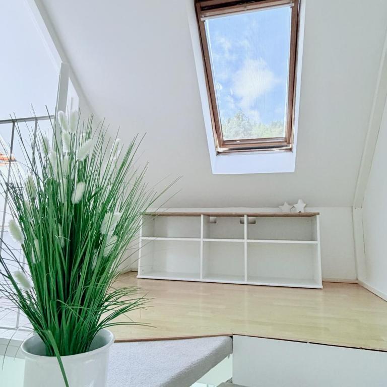 Urlaub in Kärnten - Haus Gostenig - Apartment mit 2 Schlafzimmern und Balkon - 19