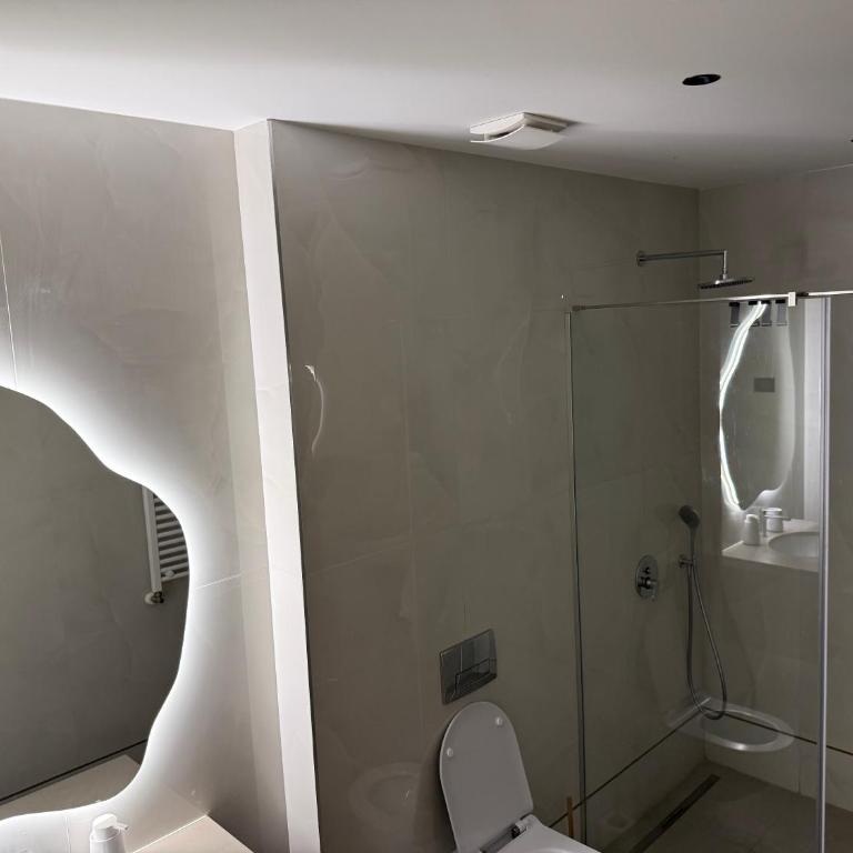 Riverside Prestige - Apartman sa 1 Spavaćom Sobom - 13