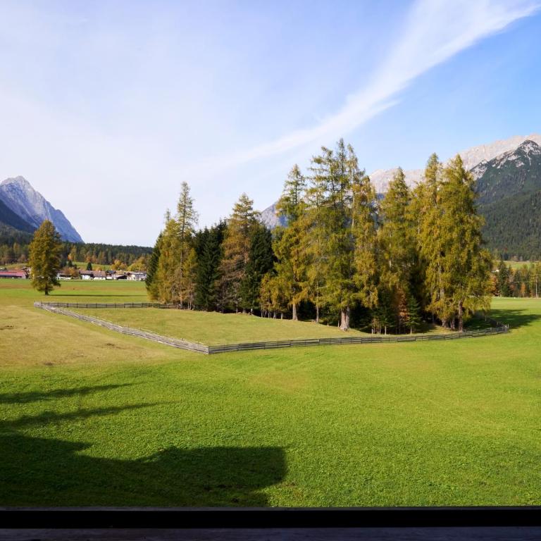 Alpenhotel Karwendel -Adults only- - Studio mit Gartenblick - 1
