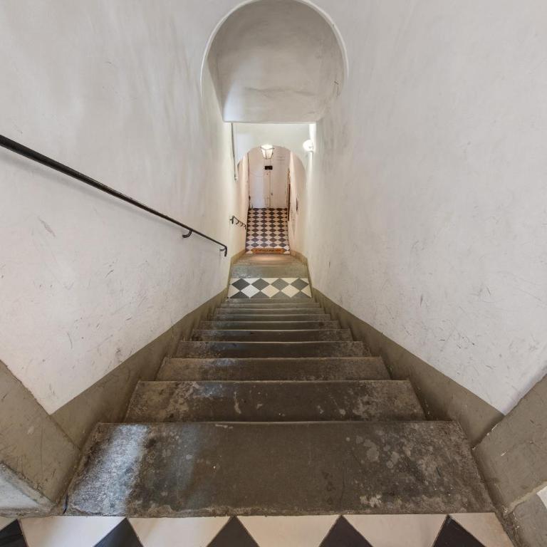 Casa Guido 2 - Cipriani's House - Estudio con sofá cama - 14