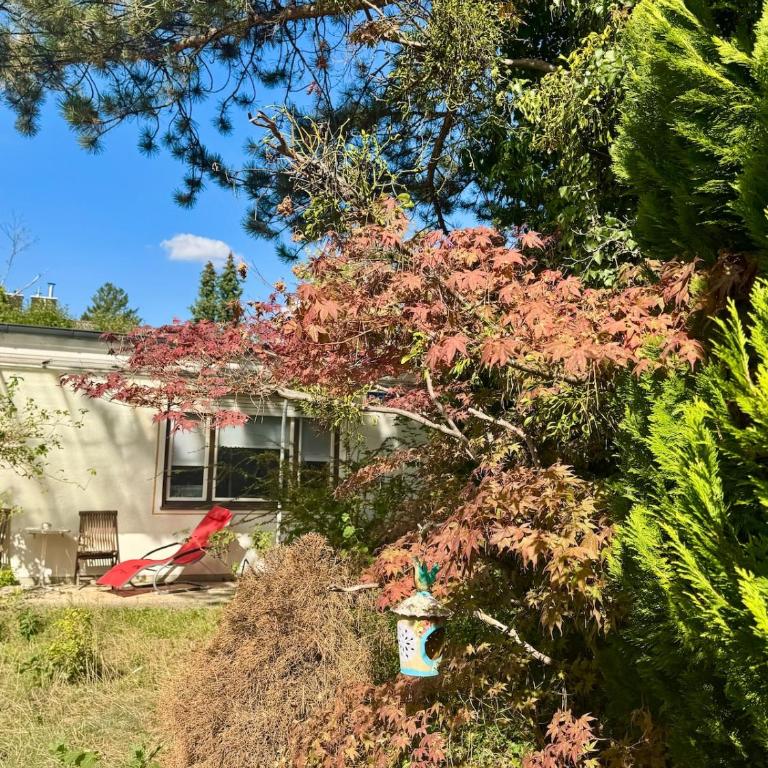Schöne Unterkunft mit Garten, gute Lage, Tram Bus - One-Bedroom Apartment - 10