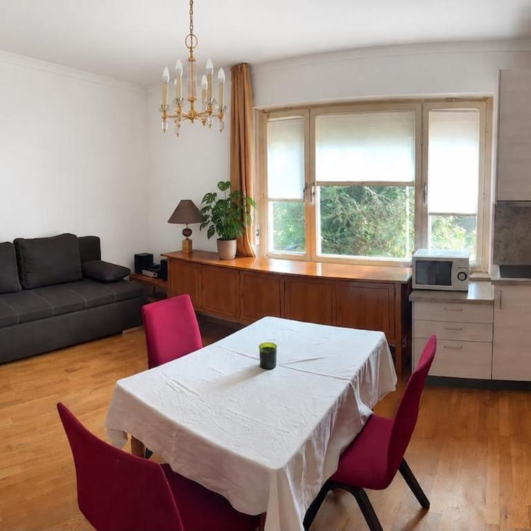 Schöne Unterkunft mit Garten, gute Lage, Tram Bus - One-Bedroom Apartment - 4