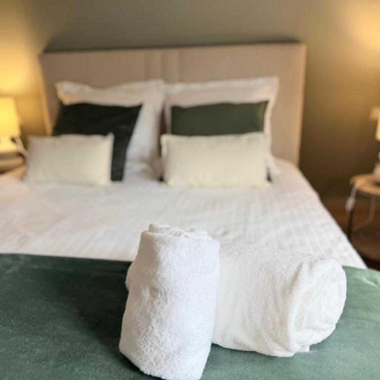 Pistache - Charme et confort au cœur de Colmar - Appartement 2 Chambres - 19