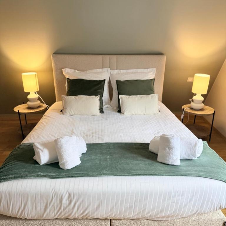 Pistache - Charme et confort au cœur de Colmar - Appartement 2 Chambres - 25