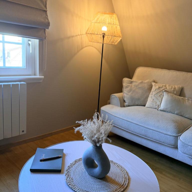 Pistache - Charme et confort au cœur de Colmar - Appartement 2 Chambres - 37