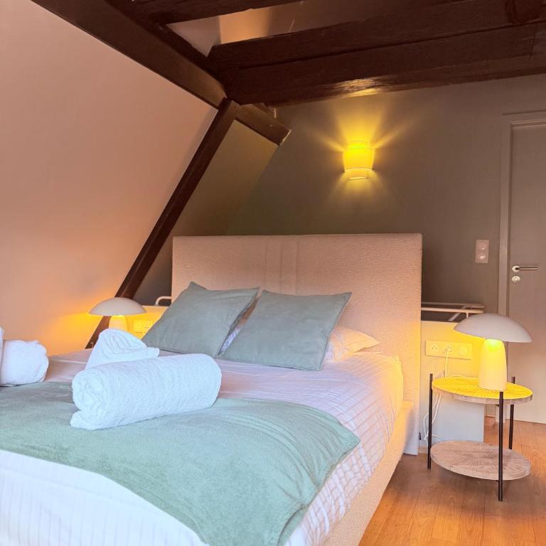 Pistache - Charme et confort au cœur de Colmar - Appartement 2 Chambres - 48