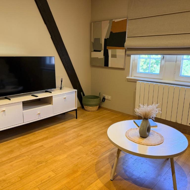 Pistache - Charme et confort au cœur de Colmar - Appartement 2 Chambres - 56