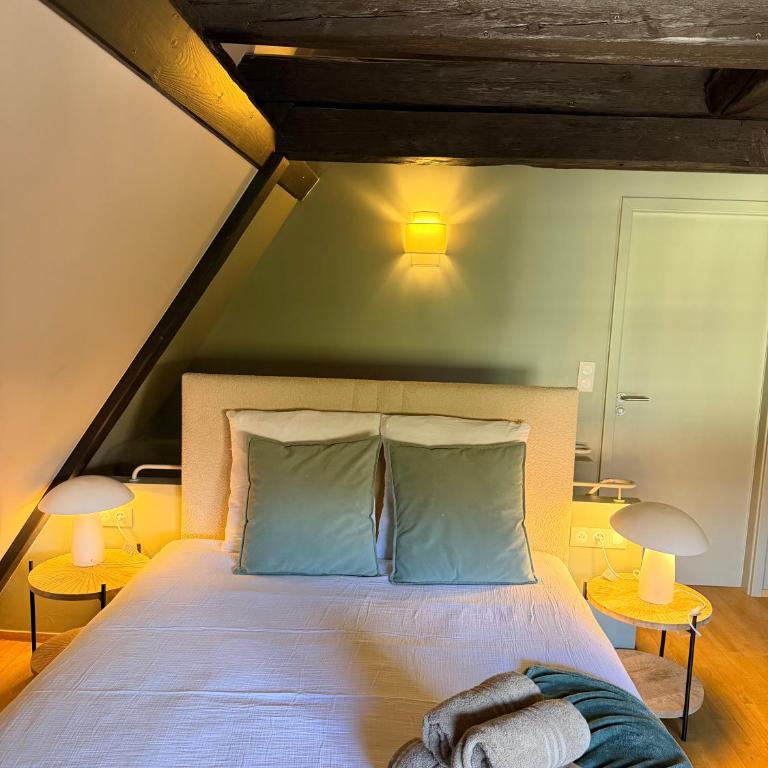 Pistache - Charme et confort au cœur de Colmar - Appartement 2 Chambres - 64