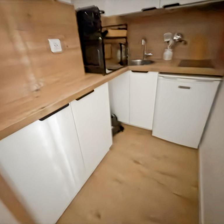 Cocon parisien entre canal saint-Martin et gares - Appartement - 5