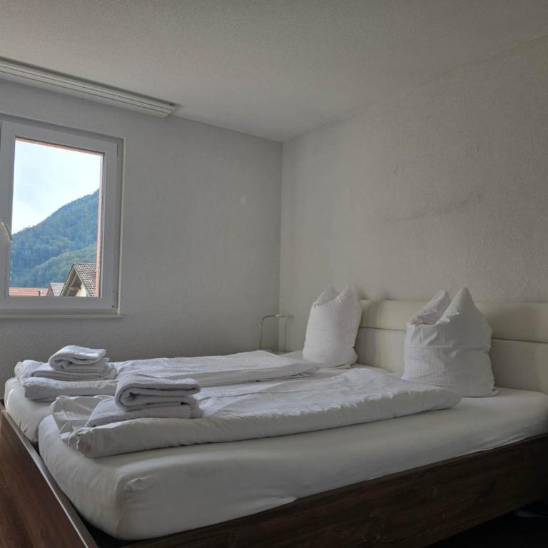 Harder Apartment - Aare Jungfrau AG - Apartment - 17