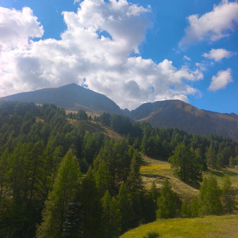 Résidences de Mélisa La Foux d'Allos - Appartement - 5