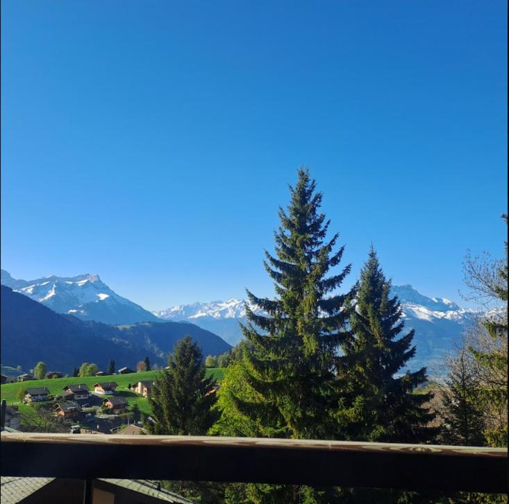 Appartement au centre de Leysin avec piscine et jacuzzi - Apartment mit 1 Schlafzimmer - 6