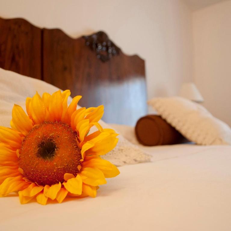 Boutique Hotel Corte Malaspina - Camera Matrimoniale/Doppia con Letti Singoli - 13