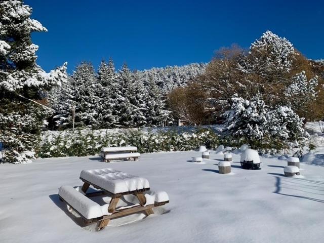Hiona Lodge - magnifique chalet proche stations - Chalet - 30