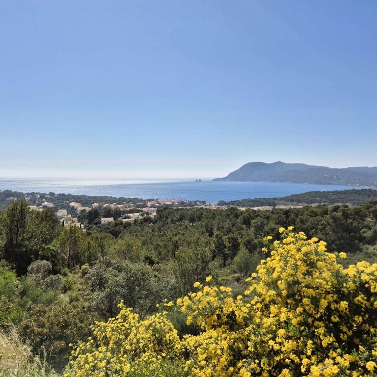 Jardin, terrasse, climatisation, à 5 minutes à pied des plages, commerces et animations - Studio-Apartment - 11