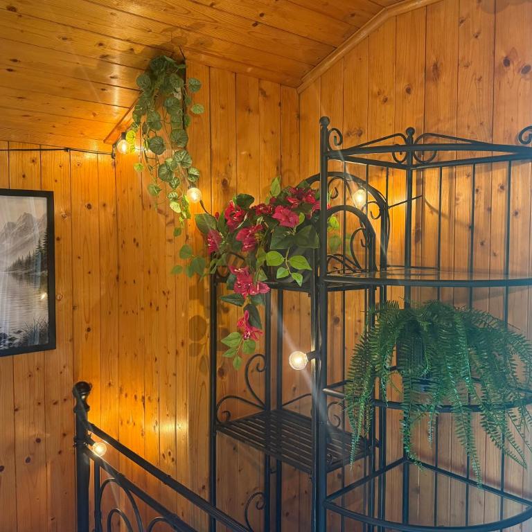 Chalet Opalpin Lodge & Spa, vue montagne et jacuzzi - Chalet - 42
