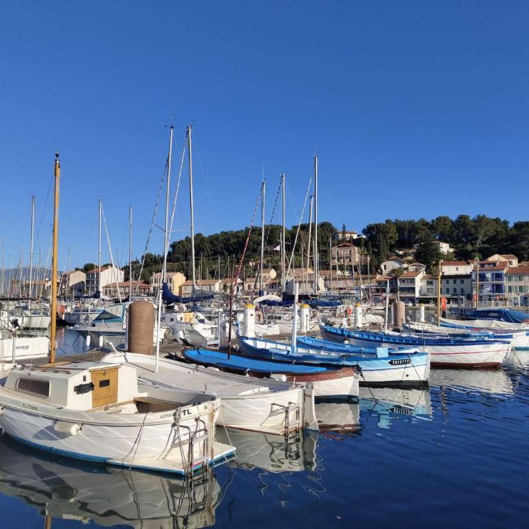 Magnifique villa 19ème, beau jardin, à 150m de la mer, climatisée, wifi, entièrement rénovée - Villa - Vue sur Jardin - 24