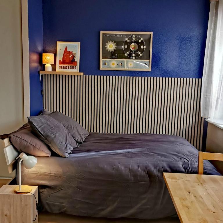 Studio calme rez-de-jardin proche tram - Appartement - 2