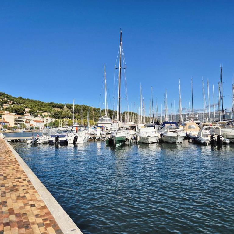 Maison de charme avec piscine, climatisé, WIFI, à deux pas du port et des plages - Villa mit privatem Pool - 3