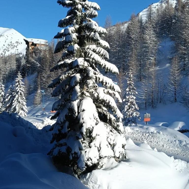 Joli Studio Front de Neige au Vermeil - Apartment mit 1 Schlafzimmer - 29