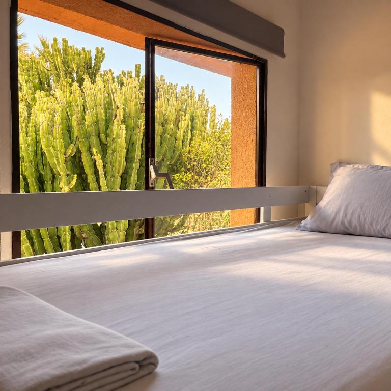 Guayaba Hostel - Bed in 4-Bed Dormitory Room - 4