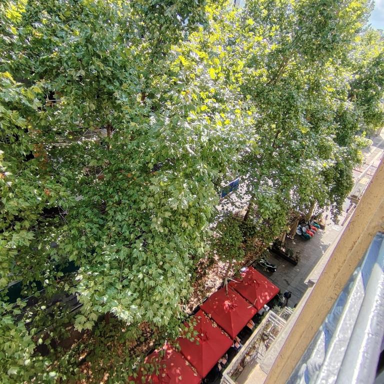 Il Nuovo Mondo,Porta Nuova 4 - Apartment mit 1 Schlafzimmer - 8