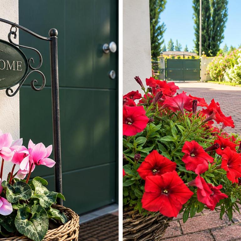 Casa Viola Vicenza - Free Parking & Relax - Appartamento Monolocale - 8