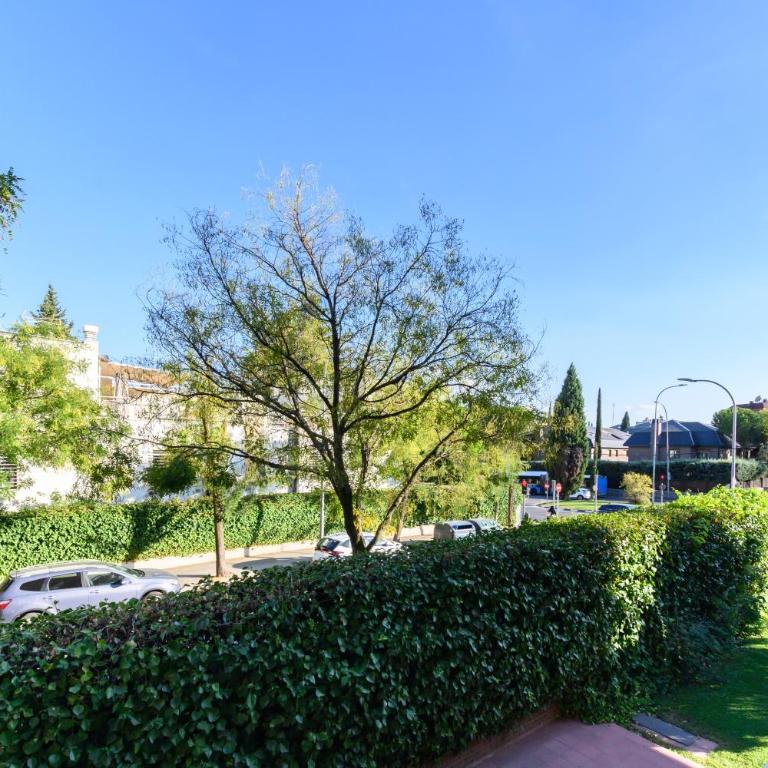 ASO941B - Piso de 3 dormitorios y 2 baños - Alquiler temporal - Apartment mit 3 Schlafzimmern - 68