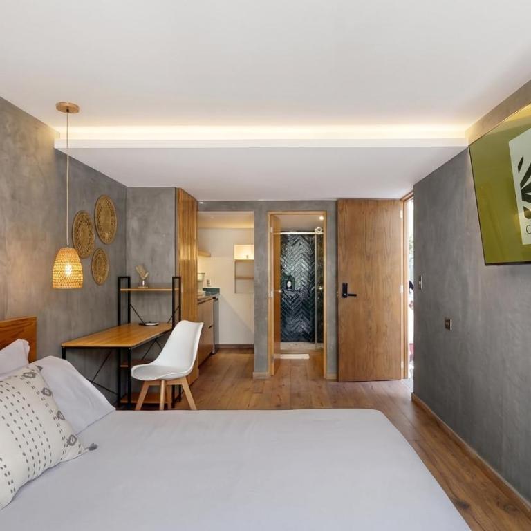 Coyohuacan - Standard Double Room - 15