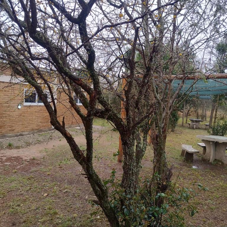 Cabaña Claro de Luna - Apartamento de 1 dormitorio - 16