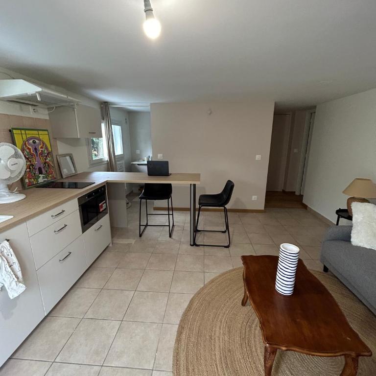 Charmant T2 à 10 min du lac - Appartement 1 Chambre avec Jardin - 11