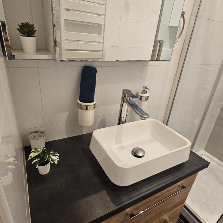TRES BEL APPARTEMENT RENOVE QUARTIER TOUR EIFFEL - PONT De BIR-HAKEIM - Apartment mit 1 Schlafzimmer - 3