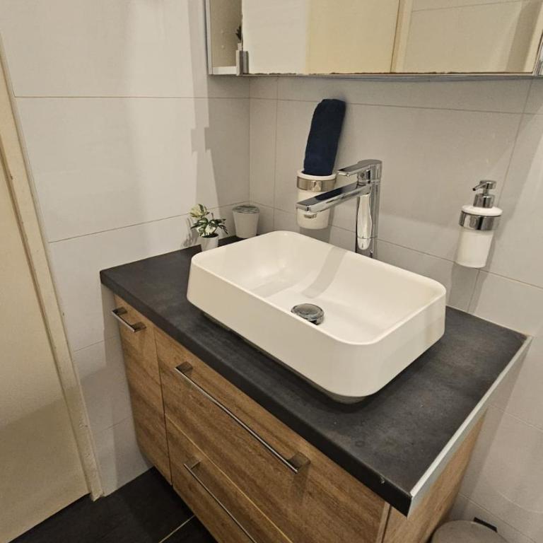 TRES BEL APPARTEMENT RENOVE QUARTIER TOUR EIFFEL - PONT De BIR-HAKEIM - Apartment mit 1 Schlafzimmer - 8