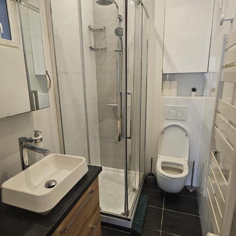 TRES BEL APPARTEMENT RENOVE QUARTIER TOUR EIFFEL - PONT De BIR-HAKEIM - Apartment mit 1 Schlafzimmer - 27