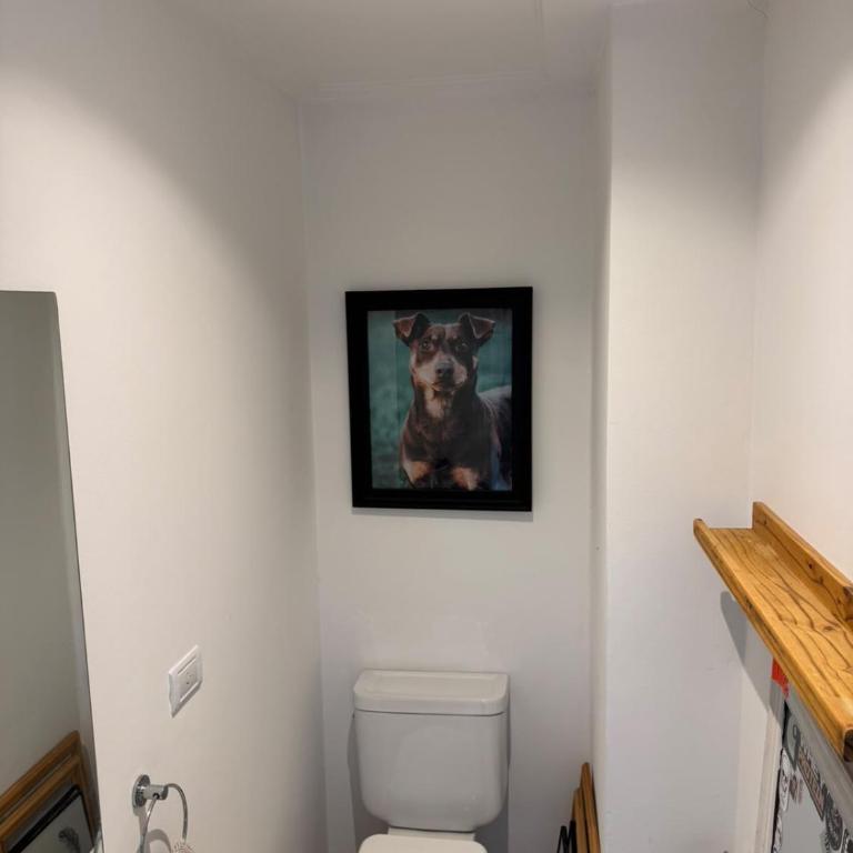 Liebre Premium Palace - Apartamento de 1 dormitorio - 6