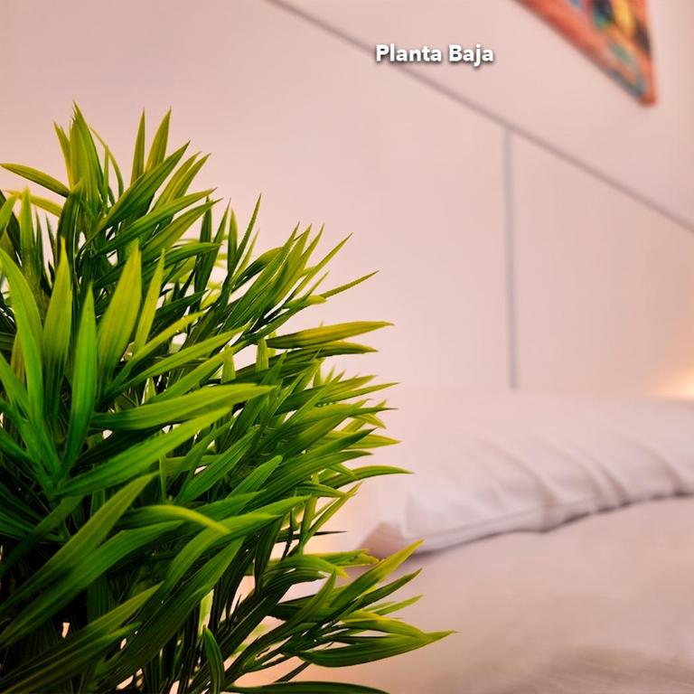Apartalux Benicassim Premium - Apartamento de 1 dormitorio - 13