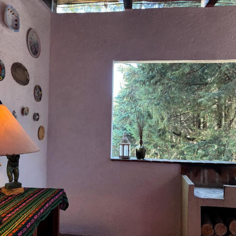 Rancho EL PARAÍSO AJUSCO - Suite avec Terrasse - 8