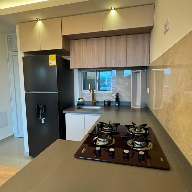 Zona norte cerca al mar Manzanillo dammar - Two-Bedroom Apartment - 3