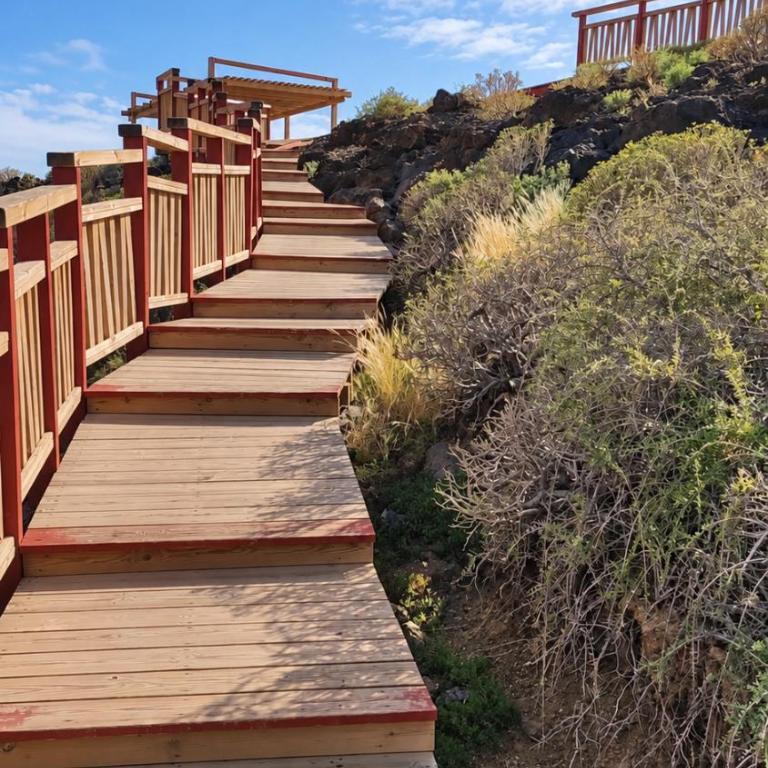 Golf Park Sunny Cozy Penthouse near the Ocean with large double terraces, fiber WIFI, 3 pools, NEW bbq South Tenerife - Apartamento con terraza - 52