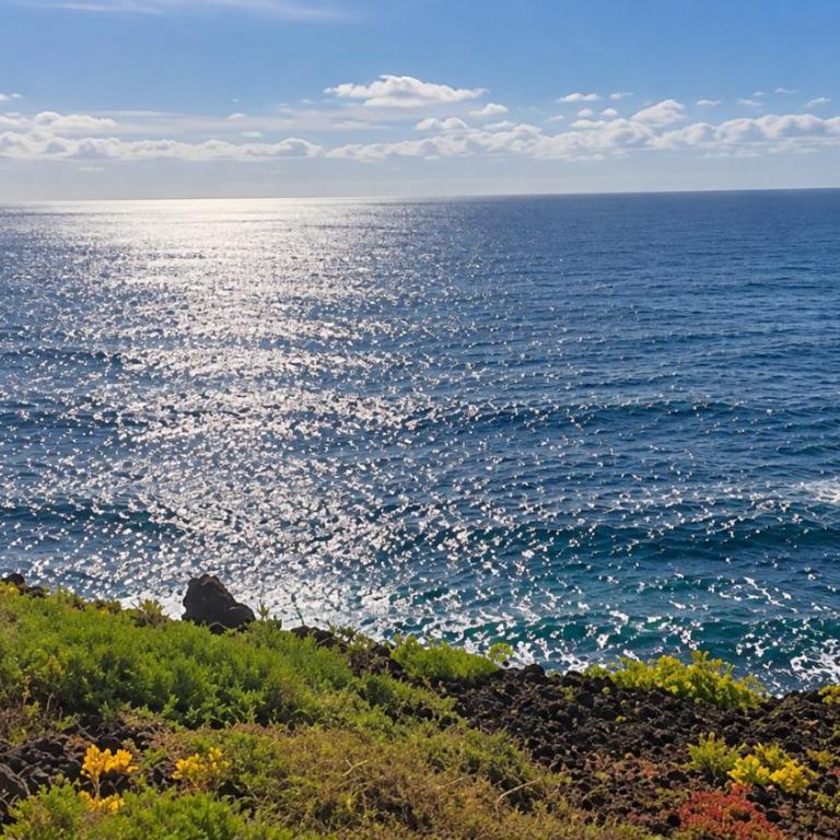 Golf Park Sunny Cozy Penthouse near the Ocean with large double terraces, fiber WIFI, 3 pools, NEW bbq South Tenerife - Apartamento con terraza - 65