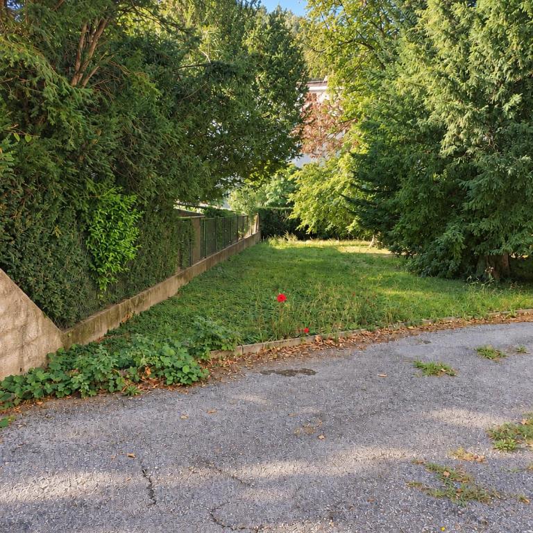 Dolce Vita - Thermal baths & free parking - Studio avec Vue sur Jardin - 4