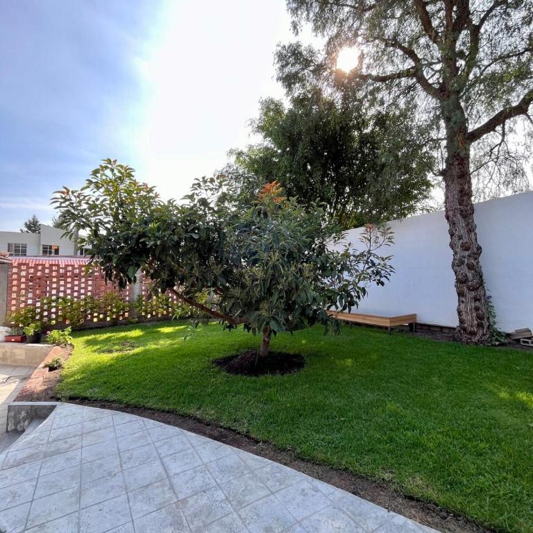 Inca Haus - Modern Studio with Free Parking - One-Bedroom Apartment - 4