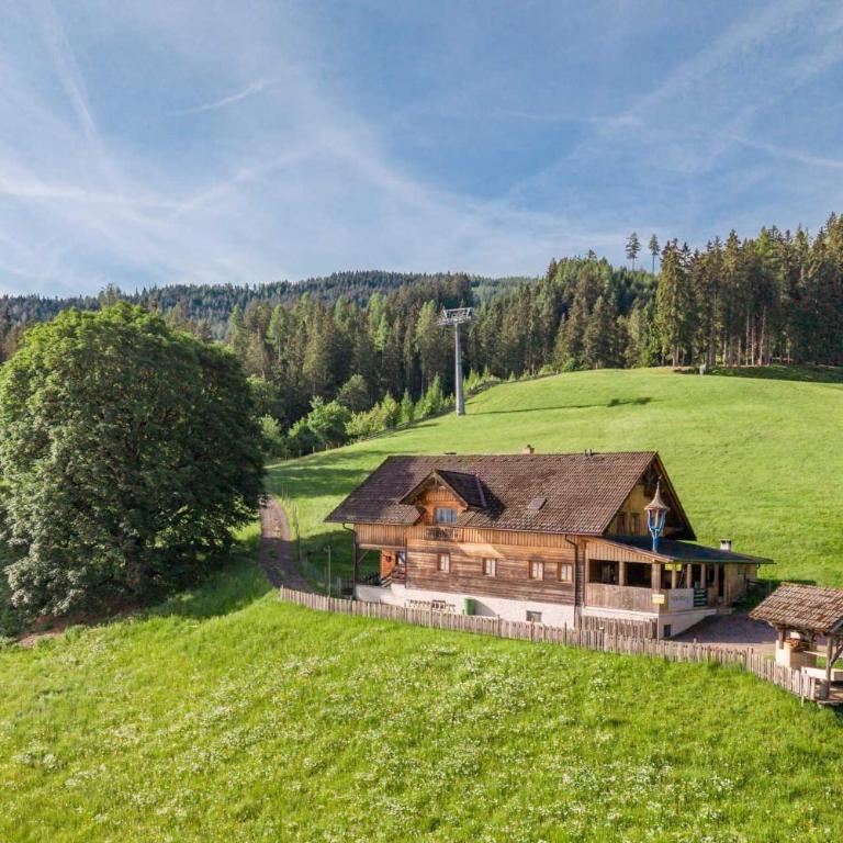 Scharlinger Alm in Alleinlage direkt am Hauser Kaibling - Haus mit 7 Schlafzimmern - 23