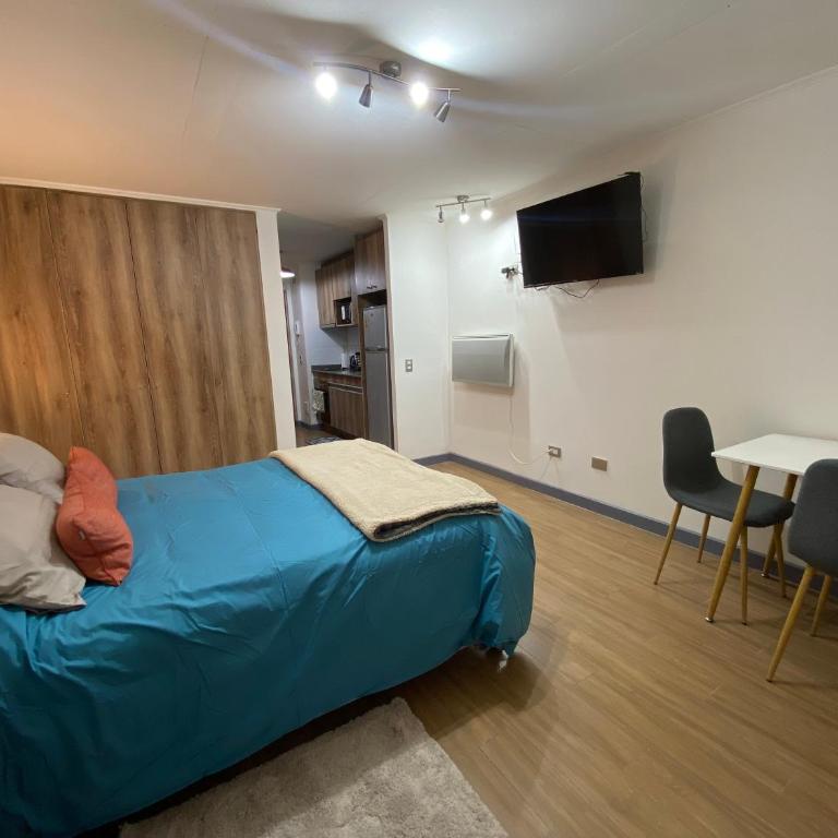 Departamento Estudio Excelente Ubicación - Apartamento de 1 dormitorio - 5