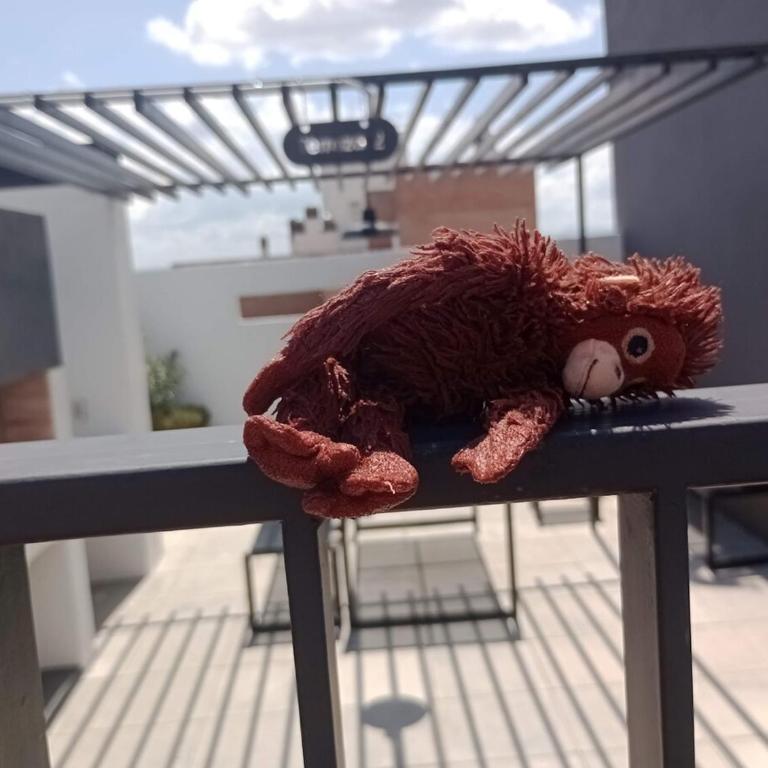 Depa Miro - Apartamento de 2 dormitorios - 10