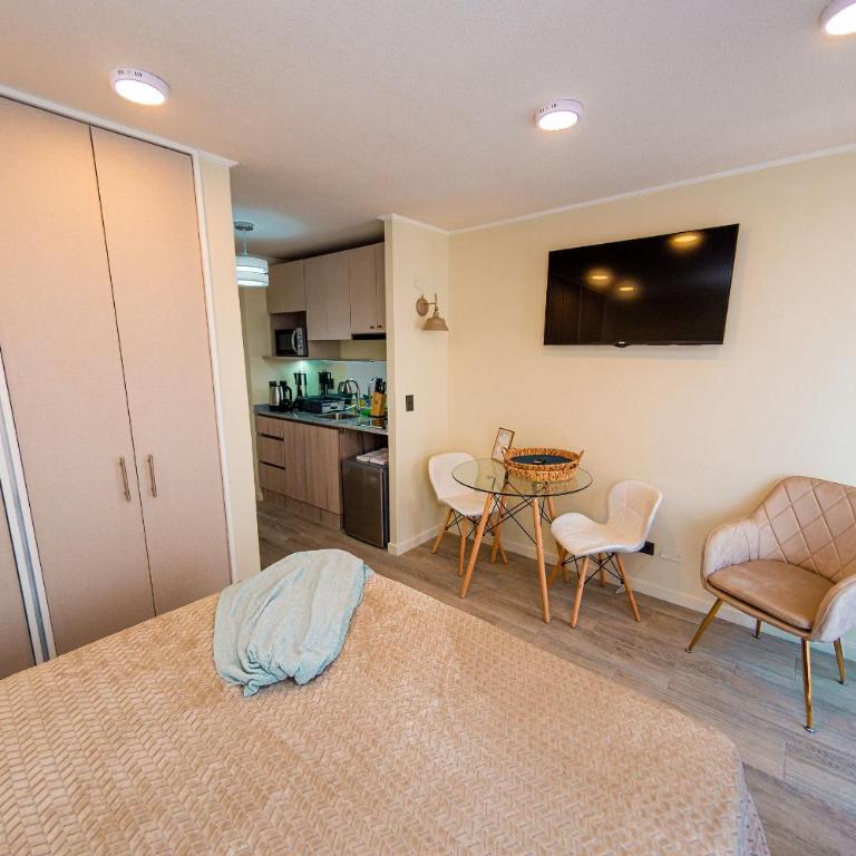 AR Domeyko - Parque O'higgins - Studio Apartment - 17