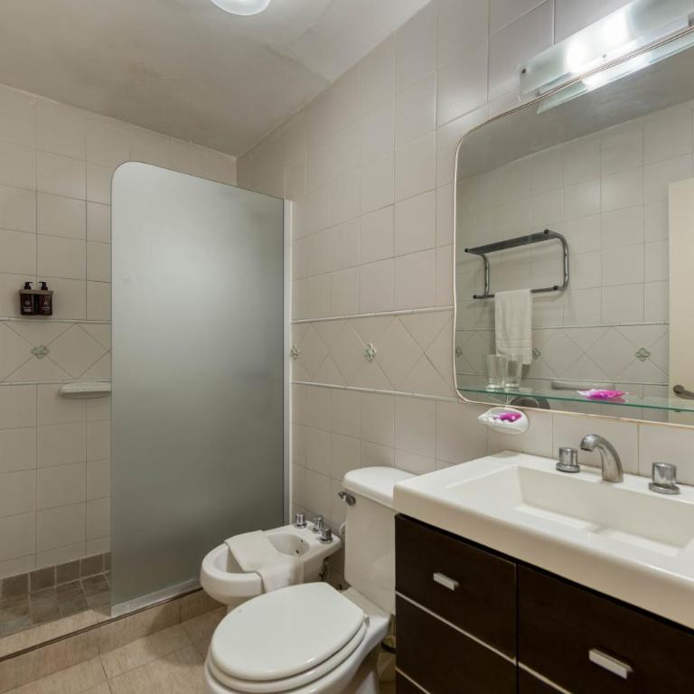 San Martin Hotel y Spa - Standard Double Room - 6