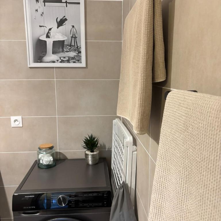 T3 6 pers vue Citadelle, terrasse et garage inclus - Appartement 2 Chambres - 24