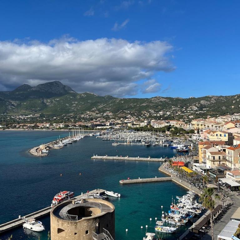T3 6 pers vue Citadelle, terrasse et garage inclus - Appartement 2 Chambres - 61