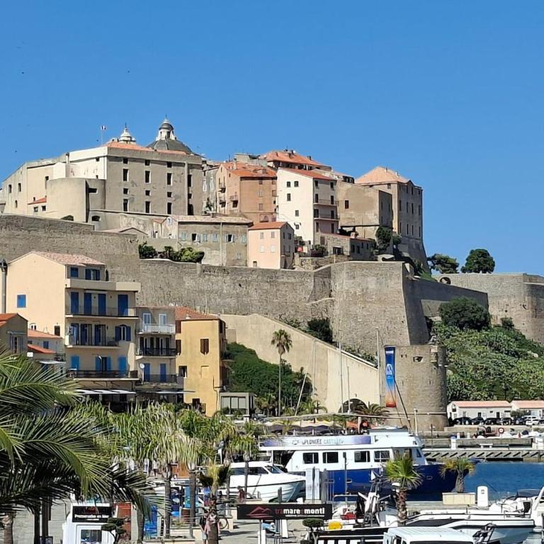 T3 6 pers vue Citadelle, terrasse et garage inclus - Appartement 2 Chambres - 74